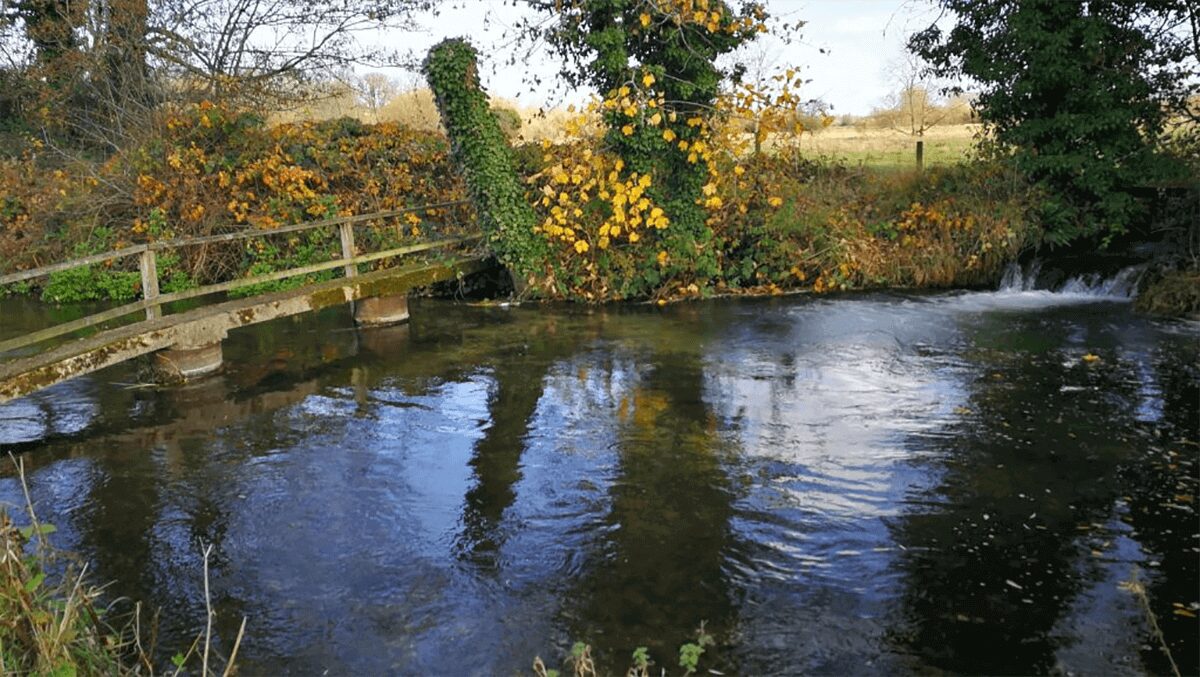 water_fish