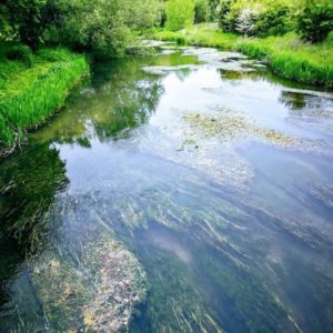 river avon
