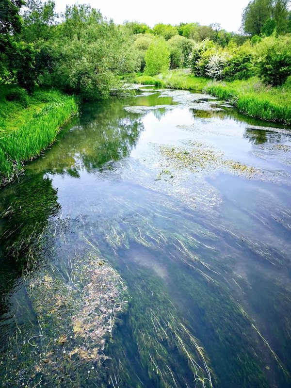 river avon