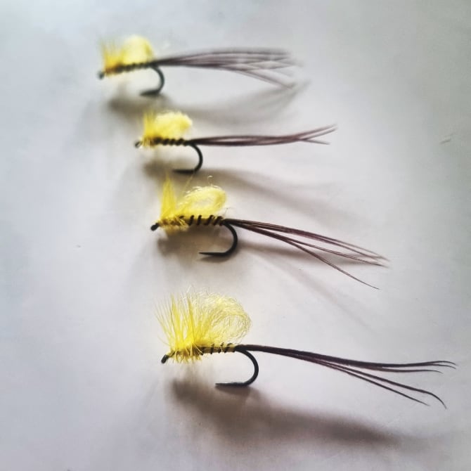 we fly fish lessons